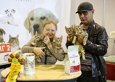 �������� �����  20-21 �������� 2014 ������������ ��� 6-168-169A0871 copy.jpg